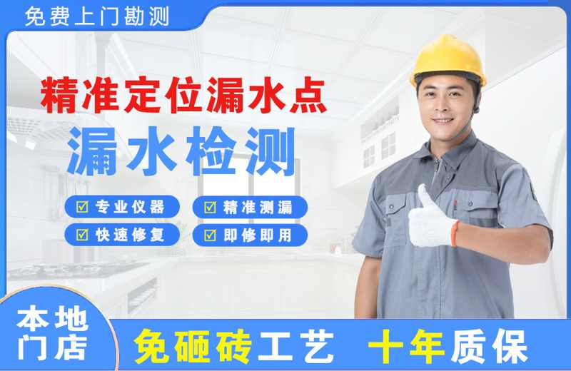 城西精准测漏点